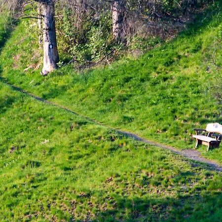 Pur Bergblick Sankt Andreasberg